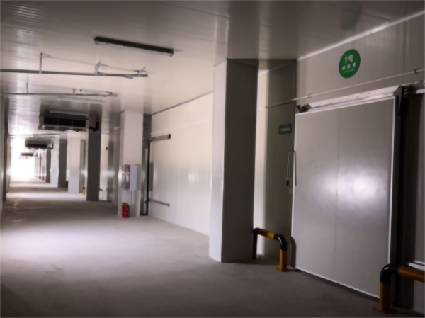 建造200噸的肉類(lèi)冷鏈冷凍庫如何做好規劃設計？