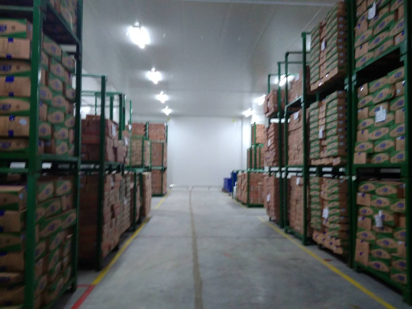 建設8500㎡陰涼物流低溫倉庫安裝配置方案費用是多少？