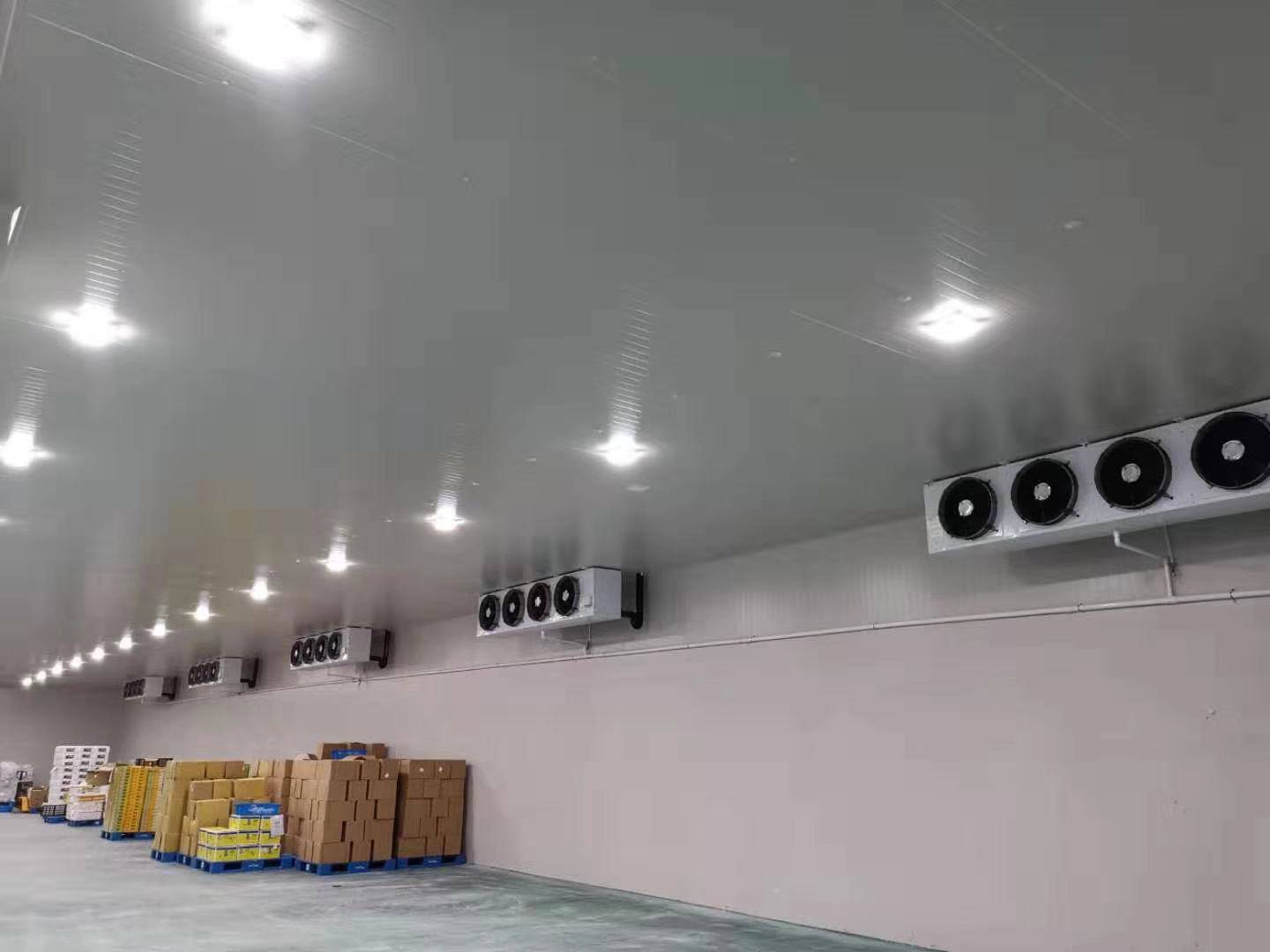 城市周邊建造一個(gè)8800平生鮮電商冷庫設計安裝費用？