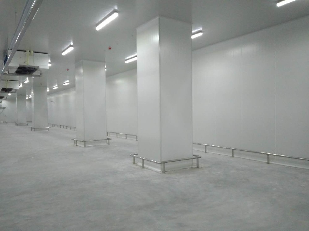 建造200噸的肉類(lèi)冷鏈冷凍庫如何做好規劃設計？