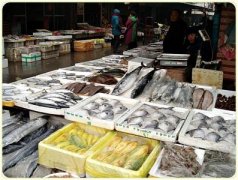 上海海鮮低溫冷庫建造，水產(chǎn)品低溫冷庫造價(jià)