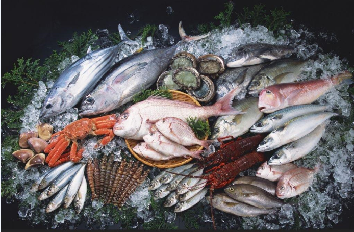 零下低溫凍魚(yú)冷庫工程設計，凍魚(yú)冷庫安裝管理