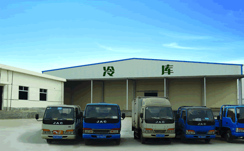 大型冷鏈物流冷藏車(chē)，果蔬冷庫安裝設計·