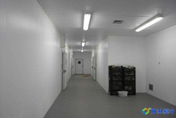 5000噸肉制品冷凍庫造價(jià)預算，上海建冷庫哪家好