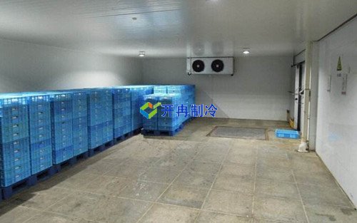 江蘇500㎡紅酒冷庫（冷藏庫）建造安裝多少錢(qián)