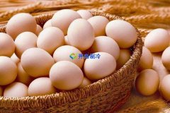 江蘇1000㎡禽蛋類(lèi)冷庫（低溫冷藏庫）建造安裝成本多少