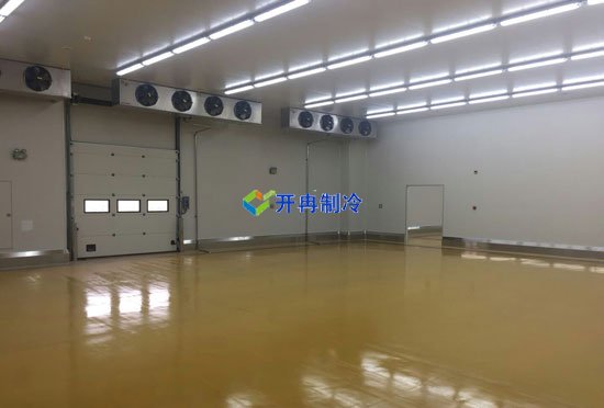 江蘇1000㎡禽蛋類(lèi)冷庫（低溫冷藏庫）建造安裝成本多少