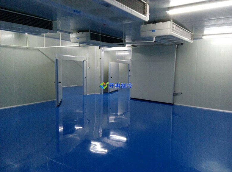 制藥廠(chǎng)藥品低溫冷藏庫收費編標準及建造安裝標準