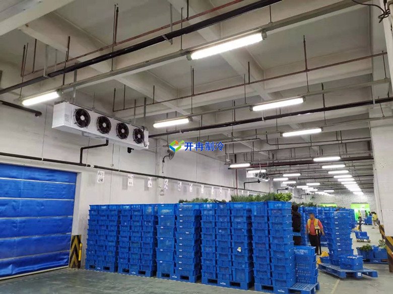 5000平米生鮮電商冷庫設計建造標準造價(jià)核算