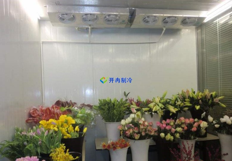 上海1000㎡花卉恒溫庫安裝設備需要多少錢(qián) 