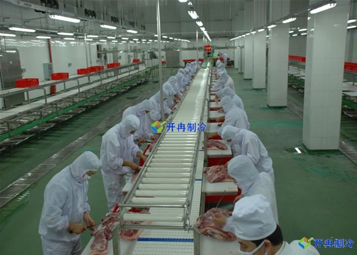 屠宰場(chǎng)建造1000㎡豬肉冷凍庫建造收費標準