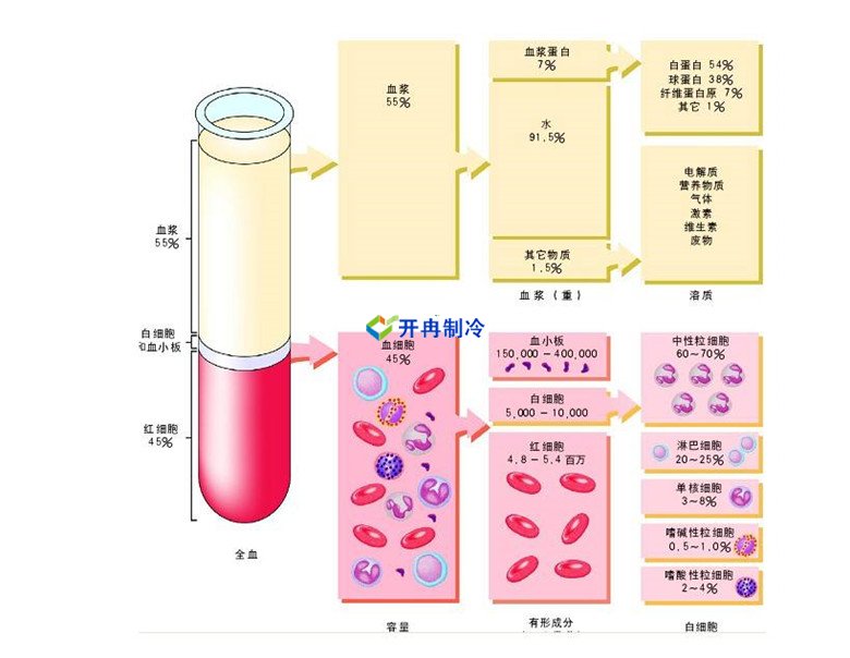 -30℃～-80℃血漿蛋白低溫冷凍庫規范，冷庫安裝價(jià)格