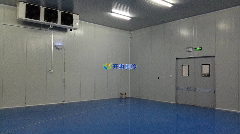 10000㎡冷鏈物流式冷藏庫建造技術(shù)及設備安裝成本多少錢(qián)