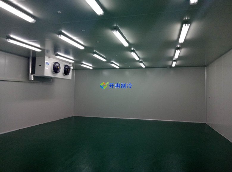 醫院藥房冷藏庫儲存溫度多少及冷庫安裝造價(jià) 冷庫內景圖片