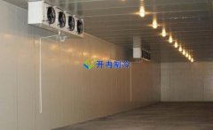 建造500立方的水果氣調庫冷庫建設需要多少錢(qián)