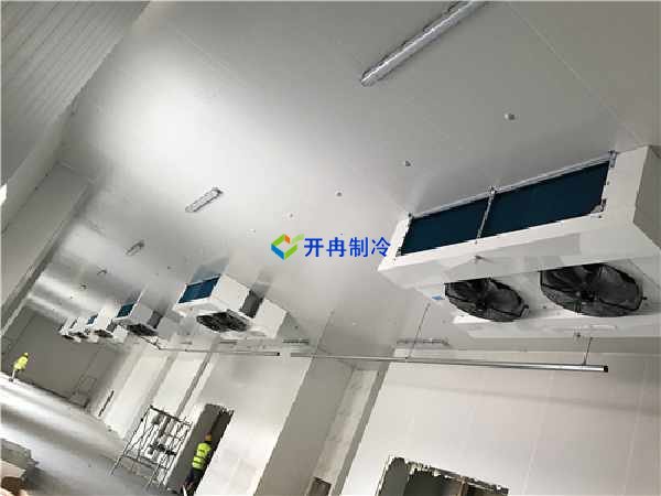 魚(yú)糜低溫冷凍庫